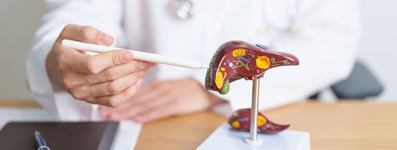 Jaundice, Hepatitis & Gallbladder Disorders